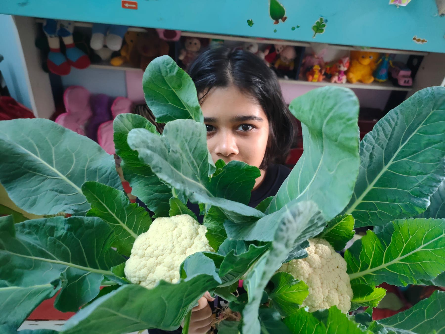 Cauliflower